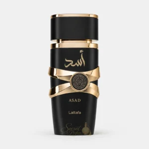 Flacon officiel Asad Lattafa Eau de Parfum Homme 100 ml sur fond gris clair, parfum Dubaï oriental épicé aux notes de poivre noir, café, vanille et ambre.