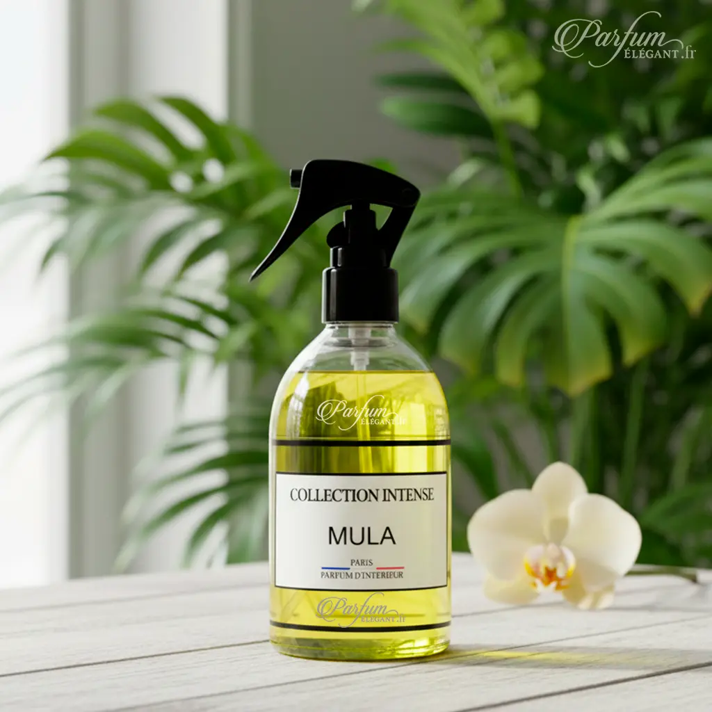 Spray Mula – Parfum d’Intérieur Oriental Sucré & Ambré | Collection Intense Paris 2 Spray Mula – Parfum d’Intérieur Oriental Sucré & Ambré | Collection Intense Paris – Image 2